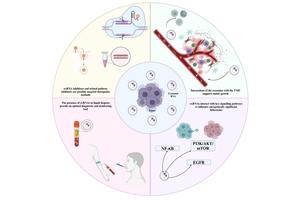 Unveiling the Role of RNA Cargo in Exosomes: A Link to Head and Neck Cancers