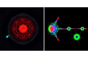 Adaptive Natural Supramolecular Photosensitizer: A Versatile Imaging Platform for Targeted and Controlled Synergistic Cancer Therapy with Switchable Photothermal and Photodynamic Effects