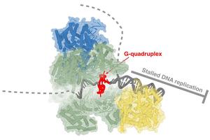 Revolutionary Cryo-Electron Microscopy Unlocks Secrets of DNA Replication and Illuminates New Cancer Treatment Targets
