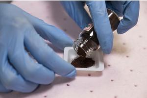 NTU Singapore Researchers Create Solar-Powered Technique for Transforming Sewage Sludge into Green Hydrogen and Animal Feed