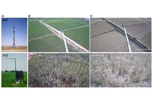 Revolutionizing SIF Algorithms: Unveiling the Intricacies of Photosynthesis
