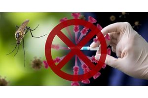 New Test Detects Previous Infections of Zika Virus and All Four Serotypes of Dengue Virus