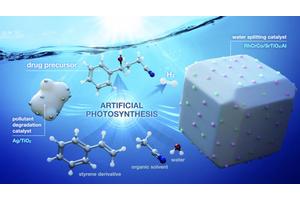 Transforming Organic Waste into Valuable Pharmaceuticals and Energy: A Photosynthesis-Inspired Technique