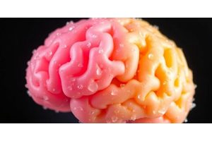 Exploring the Brain’s Sugar-Coated Defense Against Aging