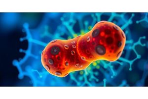 Researchers Unveil Innovative In-Cell Ultraviolet Photodissociation Top-Down Mass Spectrometry Technique