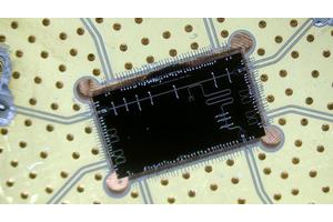 Unveiling the Mysteries of Phase Transitions in Quantum Technology