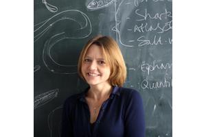 Wind Turbine Fossils Might Surprise Future Generations, Say Paleontologists