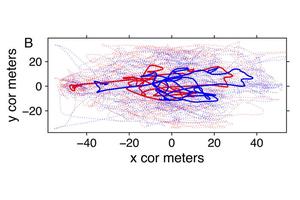Collaborative Strategies from Foraging Footballers: Insights on Unity and Collective Action