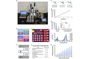 Revolutionary Automated Zebrafish Screening System Advances Cardiac Toxicity Testing in Drug Development
