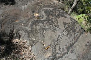 New Study Reveals Insights into How Volcanic Activity Shaped Early Marine Life