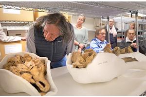 Archaeologists and Indigenous Scholars Urge Museums to Improve Stewardship of Animal Remains