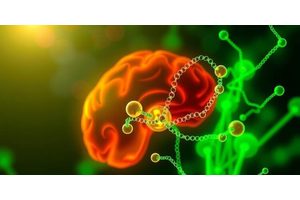 MSU Research Uncovers Surprising Role of Dopamine in Memory Devaluation