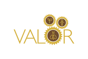 Exploring Society’s Reliance on Pollinators: Unveiling the VALOR Project