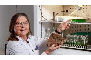 Unraveling the Origins: The Emergence of Life on Early Earth