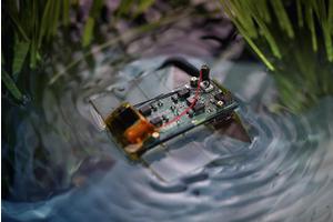 Revolutionary Miniature Swimming Robot Draws Inspiration from Marine Flatworms