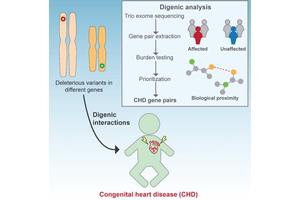 Unveiling Genetic Factors Behind Congenital Heart Disease
