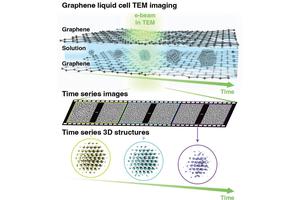 Breakthrough at SNU: Pioneering Technology Enables 3D Visualization of Atomic Structural Changes in Nanoparticles