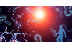 Unveiling the Microbial Realm: New Research Sheds Light on Phage-Bacteria Dynamics in the Gut Microbiome