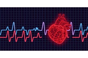 AI Model Analyzes ECGs to Spotlight Female Patients at Elevated Risk for Heart Disease