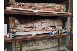 Cutting-Edge Analysis of Mummified Remains: Insights from Ancient Egyptian Embalming Techniques