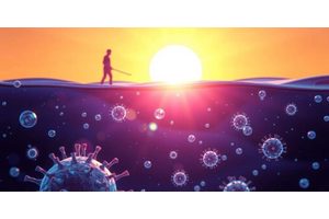 How UV Radiation Initiates a Cellular Rescue Response