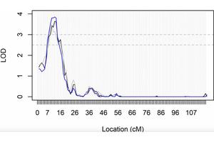 Long-lived Families Exhibit Reduced Risk of Peripheral Artery Disease
