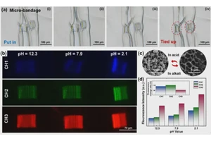 Advancements in Butterfly-Inspired 4D Printing of Smart Hydrogels Achieve Targeted Micro-Nano Deformation