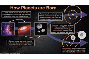 Distinct Upbringings of Small and Large Planets Uncovered