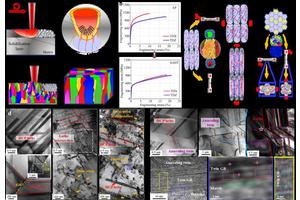 Advancements in 3D-Printed Knee Implants Enhance Quality and Reliability