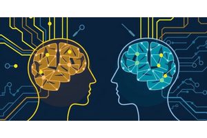 Unlocking Social Navigation: How the Brain Employs ‘Building Blocks’ for Interpersonal Interactions