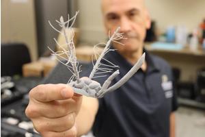 Insights from Mosquito Hearing Could Revolutionize Natural Disaster Detection Techniques