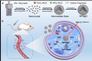 Magnetic Catalysts Boost Cancer Therapy Through Electronic Density Manipulation