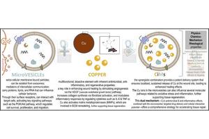 Groundbreaking Copper-Infused Microvesicles: Ushering in a New Era of Biofunctional Medicine