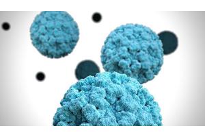 Study Highlights Crucial Antibodies for Advancing a Universal Norovirus Vaccine