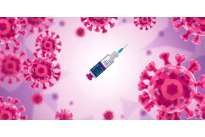 Exploring the Link: Gut Microbiota, Immunoglobulin A, and Their Impact on Vaccine Effectiveness