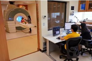 Groundbreaking Research Uncovers the Impact of Adversity on Brain Development and Long-Term Health Outcomes