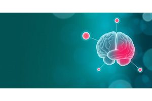 Exploring the Link Between Cardiovascular Health and Neurodegenerative Disease Biomarkers in Older Adults