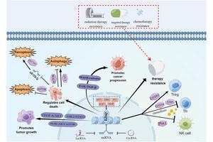 Transforming Cancer Care: The Impact of EZH2 Targeting on Precision Medicine