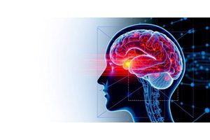Revolutionary AI Tool Set to Transform Forensic Investigations of Traumatic Brain Injuries