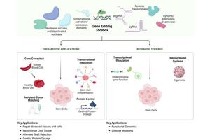 CRISPR Breakthroughs: Transforming the Future of Regenerative Medicine