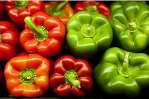 Public Backing Revealed in inaugural National Survey on Food is Medicine Initiatives