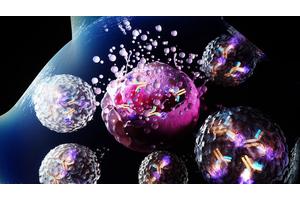 MD Anderson Researchers Unveil Innovative Antibody-Toxin Conjugate