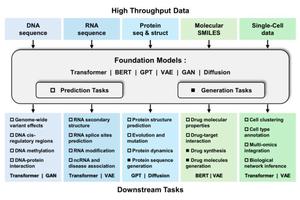 Exploring the Impact of Foundation Models in Bioinformatics: A Review