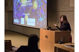 New Research Highlights the Role of 40Hz Gamma Stimulation in Enhancing Brain Health