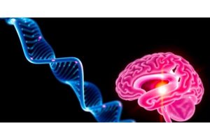 Study Reveals Genetic Mutations Associated with Toxin Exposure in Brain Tumors of Firefighters