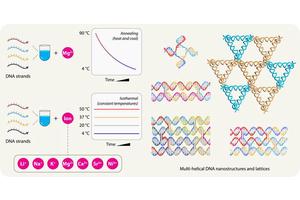 UAlbany Researchers Discover Innovative Advances in DNA Nanostructure Self-Assembly
