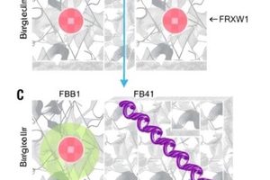 Announcing the ESMO Sarcoma and Rare Cancers Congress 2025: A Key Event for Advancements in Oncology