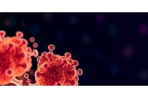 BU Researcher Recognized as a Rising Star in Endocrinology