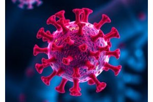 Delhi’s Air Pollution Exceeds Predictions Due to Water Vapor Distortion of Data