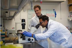 New Study Reveals Link Between Low-Carb Diet and Colorectal Cancer Development